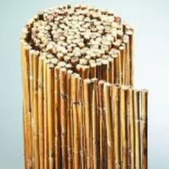 Bambus Hegn 'Macao' 90x300