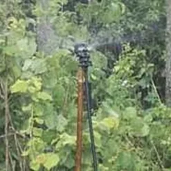 Microsprinkler 10 Stk. (incl. Spyd)