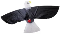 Bird On The Roof -  ´Ørn´