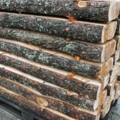 Havesveller I Lærk - 1 Palle Med 50 Stk.