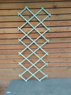 Sakseespalier Træ - Lille