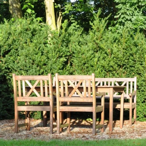 Taxus Media 'Hillii' (Taks), Salgshøjde: 60-80 Cm 3 Taxus Media 'Hillii' (Taks), Salgshøjde: 60-80 Cm