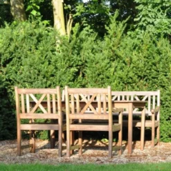 TAXUS MEDIA 'HILLII' (HÆK) (Taks), Salgshøjde: KLUMP 60-80 Cm