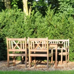 Taxus Media 'Hillii' (Taks), Salgshøjde: 100-110 Cm